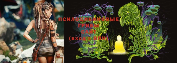 трава Алексин